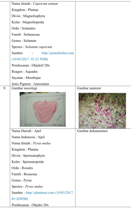 Gambar morologi