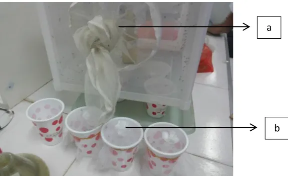 Gambar 1. Holding nyamuk (a) dan gelas plastik (b) 