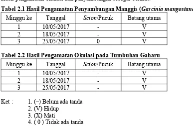 Tabel 2.1 Hasil Pengamatan Penyambungan Manggis (Garcinia mangostana)