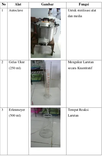 Tabel 4.1 Hasil Praktikum Pengenalan Alat 