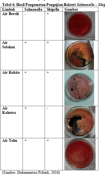 Tabel 6. Hasil Pengamatan Pengujian Bakteri Salmonella – Shigella