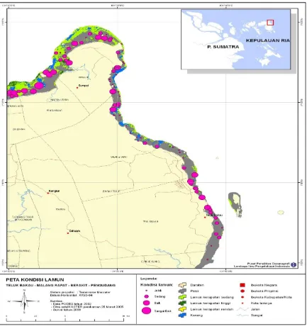 Gambar 1. Peta Sebaran Lamun dan Kondisi Padang Lamun (Sumber: LIPI, 2009) 
