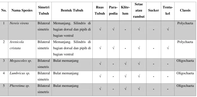 Tabel 3. Pengamatan Anatomi Phylum Annelida. 
