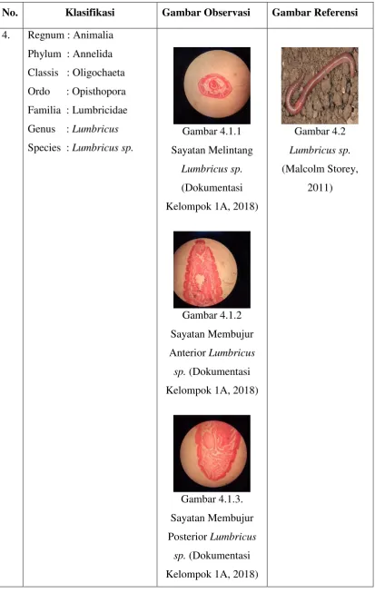Gambar Observasi 
