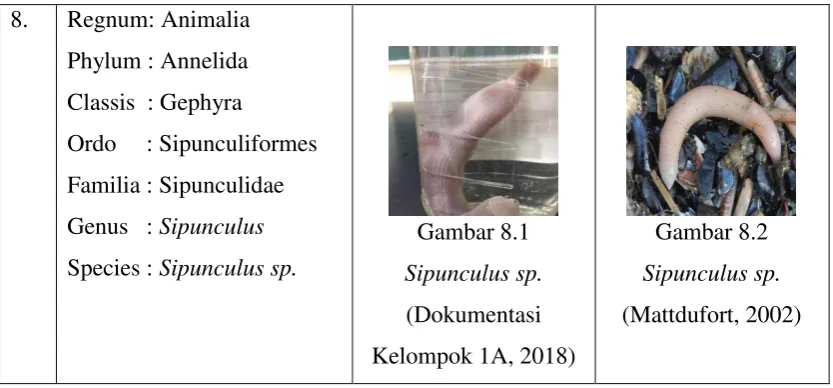 Gambar 8.1 Gambar 8.2 