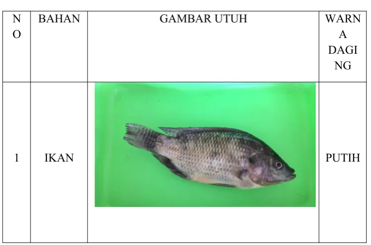 GAMBAR UTUHWARN