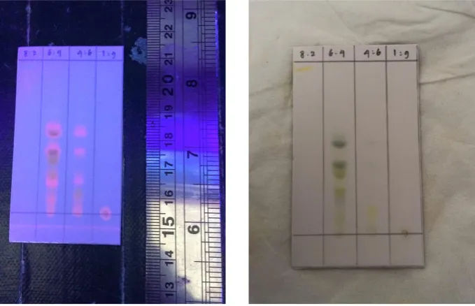 Gambar 1. Metode Kromatografi cair vakum