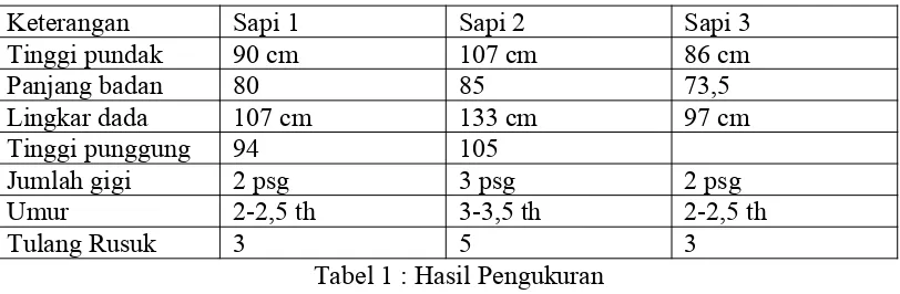 Tabel 1 : Hasil Pengukuran 