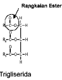 Gambar 3.2 Struktur Kimia Minyak Jarak 