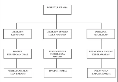 Gambar 4.1  Struktur Organisasi Rumah Sakit Tjandra 