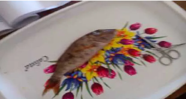 Gambar 1: ikan katamba (Lethrinus Lentjan)