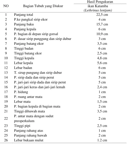 Table 3 : morfometrik ikan Katamba