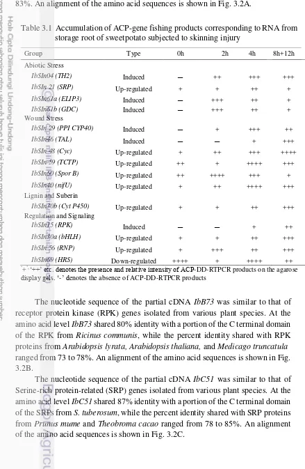 Table 3.1  Accumulation of ACP-gene fishing products corresponding to RNA from  