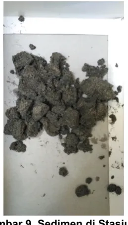 Gambar 9. Sedimen di Stasiun 1