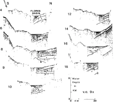 Fig. 3. Vertical Seismic profiles 4, 6, 8, 9, 10, 12, 14, 16, and 18, located on Figure 2
