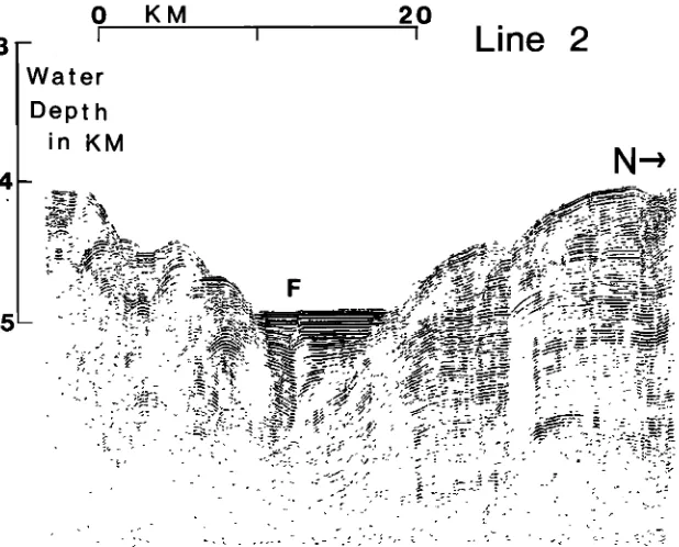 Fig. 5. Seismic profile 2, located on Figure 2. Northward dipping reverse fault located below the letter F