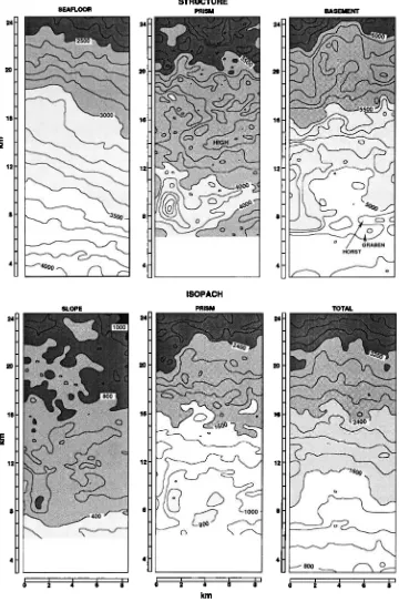 Fig. 5. Top are three structural surface maps of the seafloor, top of prism, and basement lines