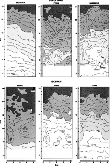 Fig. 5. Top are three structural surface maps of the seafloor, top of prism, and basement lines