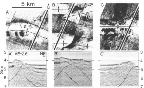 Figure 4 Side-scan image and migrated reflection profiles of mud volcanoes. A-A', Culmination of an anticline that is capped by three mud volcanoes