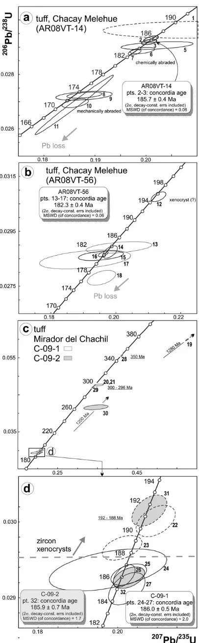 Fig. 9. Concordia diagrams with zircon analyses of the four tuff samples; (d) is anenlargement of a small part of (c)