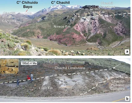 Fig. 2. Generalized stratigraphic column of the Chachil depocentre.