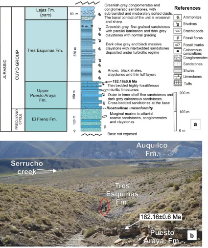 Fig. 7. a) Generalized stratigraphic column of the Valenciana depocentre, southern Mendoza, Neuquén Basin; b) outcrop aspect of the uppermost beds of the Puesto ArayaFormation in contact with the Tres Esquinas Formation at Serrucho creek, where Mazzini et 