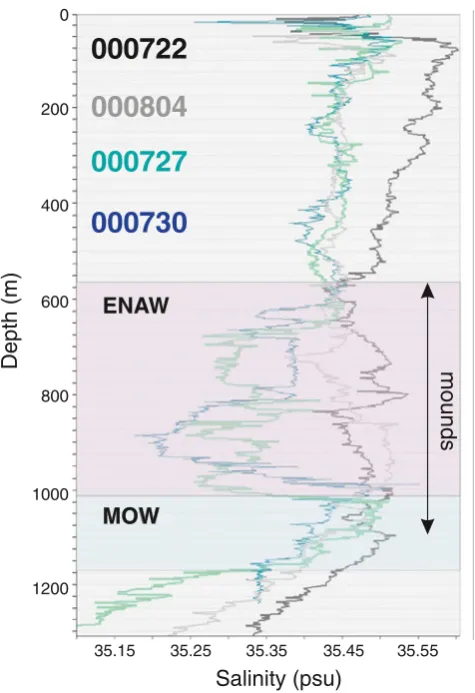 Fig. 6 Salinity profiles from four stations (see locations in Fig.collected during 2000 (last four digits of each station represent themonth and day of sampling) showing the distribution of differentwater masses in the study region; the stations deployed i