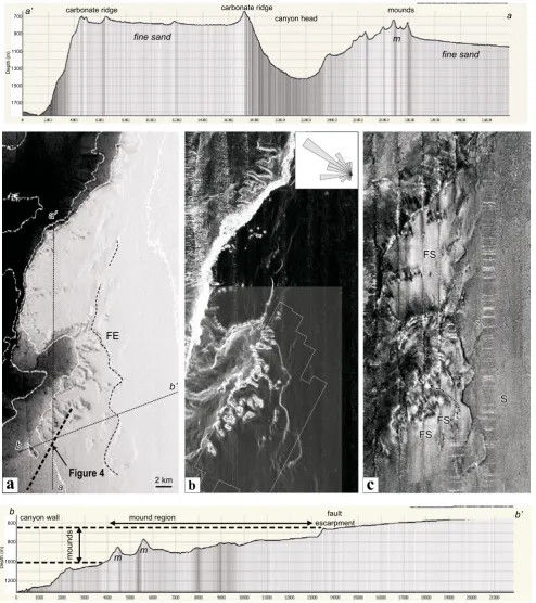 Fig. 2 Combination of bathymetry, slope gradients, and reflectivitytopographic control of the mound province is clearly delimited
