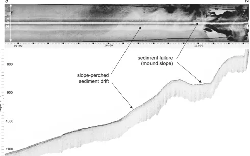 Fig. 4 Slope-perched sediment drift: the area of low backscatter withseabed striations observed on the sonograph corresponds to thestratified, pinching-out units seen on the deep-tow subbottom profiler