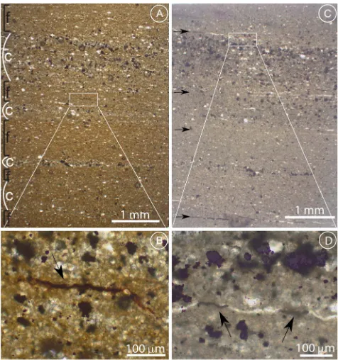 Figure 1.Thin section images of Green River Shalesample before and after heating. (a) Interlaminated silt andclay-rich layers before heating