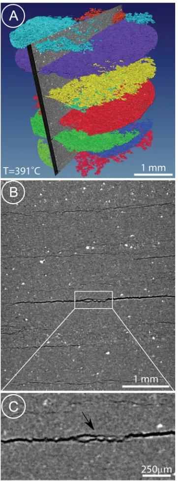 Figure 2. Tomography images of the shale sample at391°C, corresponding to the moment of maximum crackopening
