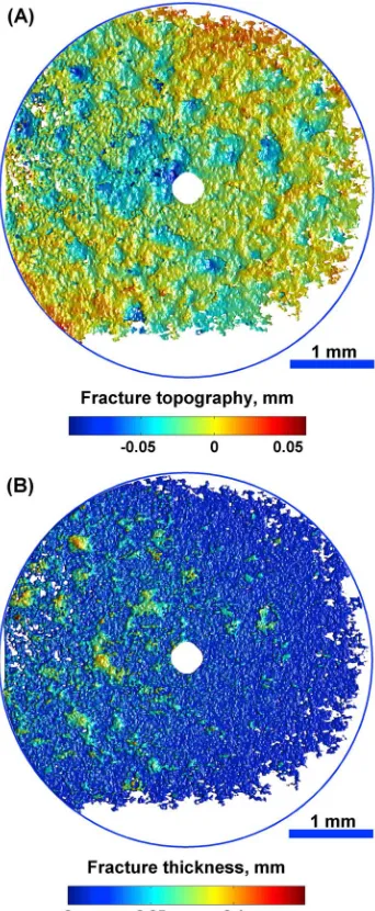 Figure 3d.5.Organic Decomposition Induces Fracturing