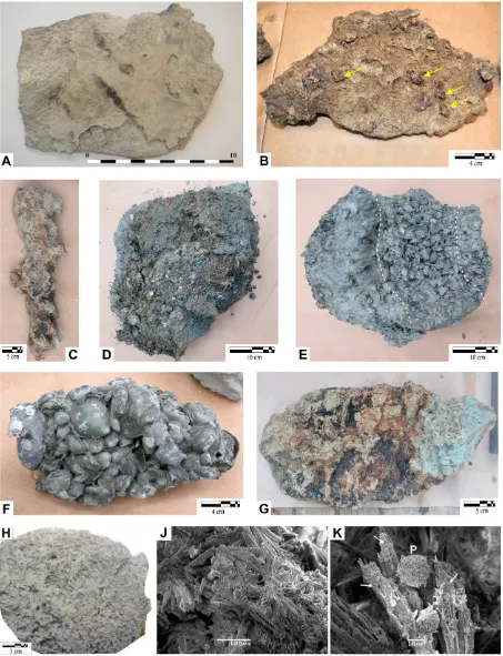Fig. 9. Variety in authigenic carbonates collected from Area 1(A, B – G11; C, G – Bobic; D–F – Sharic) and Area 2 (H–K – CN03)