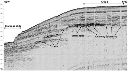 Fig. 2. Singe-channel seismic line (PSAT187) across Storegga slide and Area 3 showing BSR, chimney-like structures and bright spots (free gas accumulations)