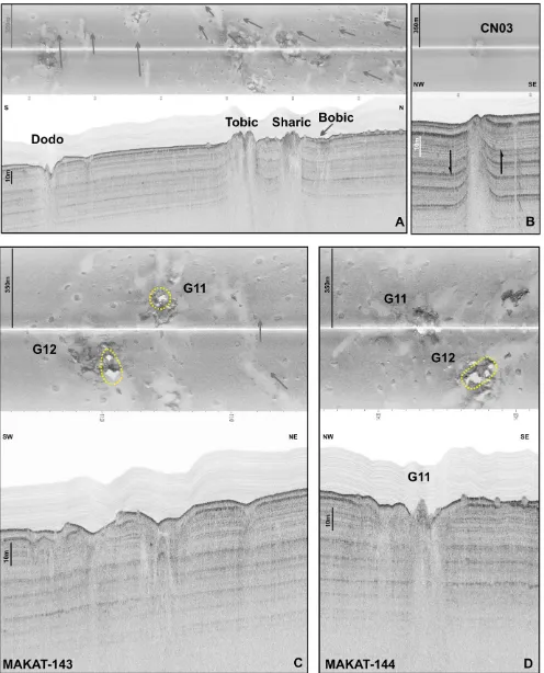 Fig. 3. Fragment of high resolution 100 kHz sidescan sonar with subbottom 5 kHz proﬁler lines across seepage structures: A – Dodo, Tobic, Sharic and Bobic (MAKAT142)
