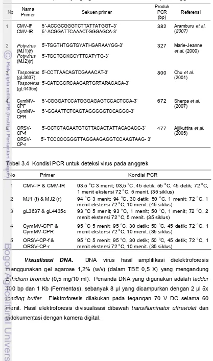 Tabel 3.3  Sekuen primer yang digunakan untuk deteksi virus pada anggrek 