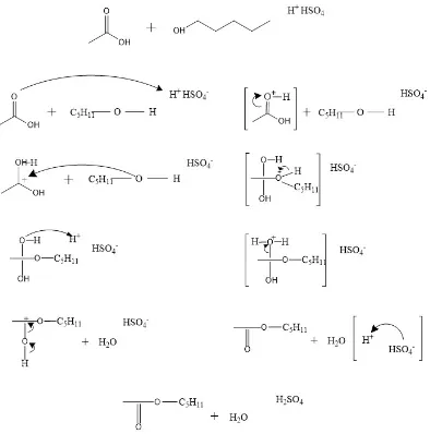 Gambar 8. Mekanisme reaksi amil asetat