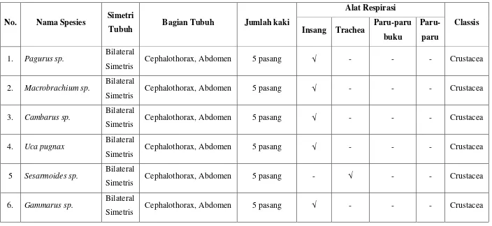 Tabel 3. Pengamatan Anatomi Phylum Arthropoda. 