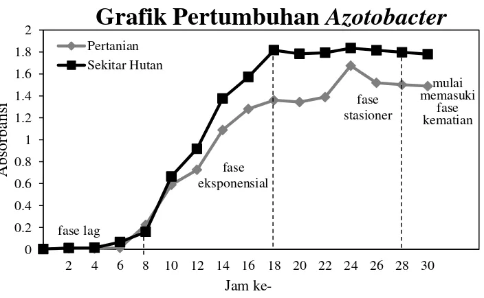Grafik Pertumbuhan Azotobacter