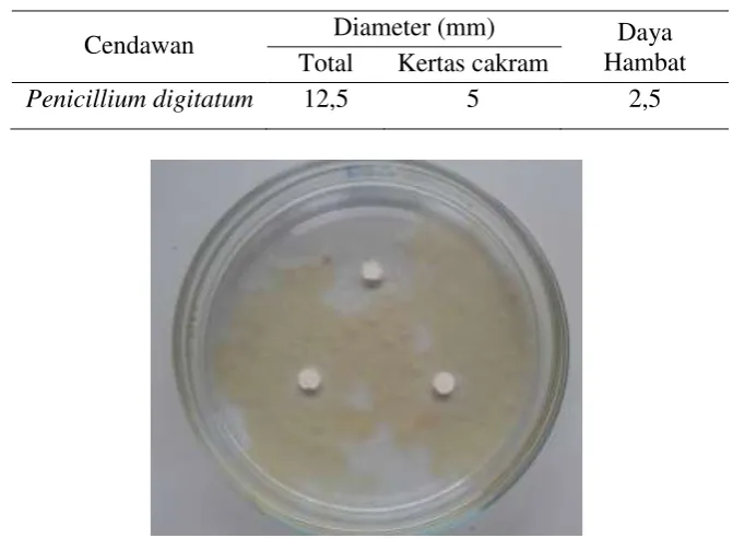 Tabel 4. Daya hambat Penicillium digitatum
