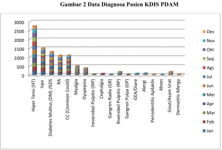 Gambar 2 Data Diagnosa Pasien kDis PDAm 