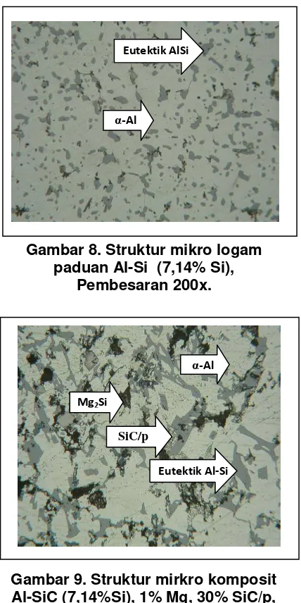 Gambar 12. Struktur mirkro komposit  