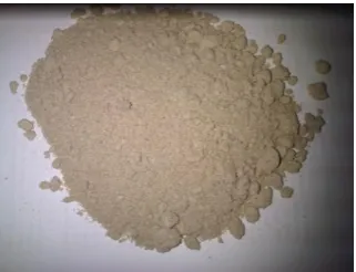 Gambar 4.7 Tepung Daging Ikan Lele 
