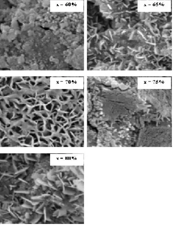 Gambar 2. Citra SEM (4 x 4 Mn sebesar 60%, 65%, 70%, 75% dan morfologi lapisan tipis GaN:Mn yang ditumbuhkan pada fraksi mol larutan m2) 80%.