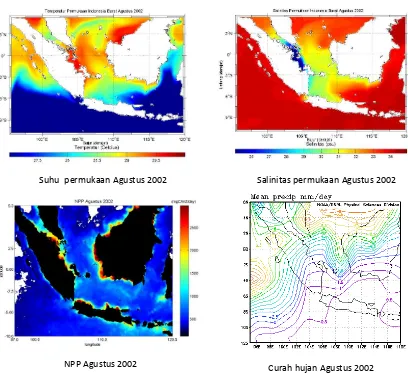 Gambar 2. Hasil simulasi model numerik suhu, salinitas, hasil model NPP  dan intensitas curah hujan  perairan barat Indonesia pada bulan Agustus 2002 yang mewakili periode El-Nino kuat 