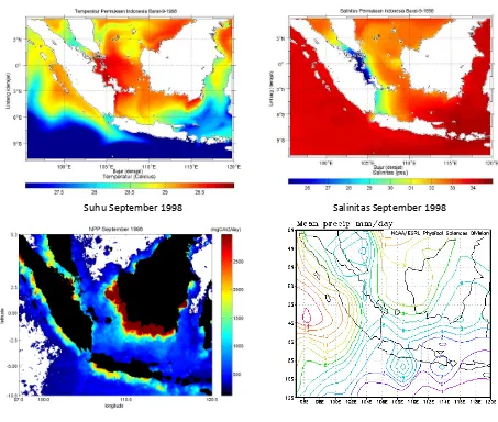 Gambar 4 Hasil simulasi model numerik parameter fisik suhu, salinitas, curah hujan dengan hasil model NPP perairan barat Indonesia pada bulan September 1998 yang mewakili periode La-Nina 