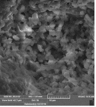 Gambar 2. Morfologi abu sekam padi yang diambil dengan menggunakan Vega3SB Scanning Electron Microscopy (SEM)