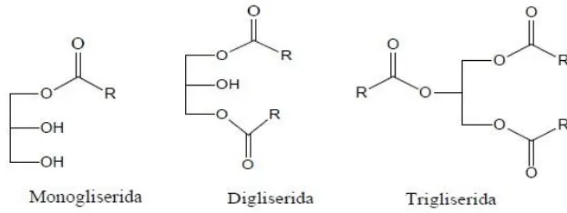 Gambar 2. 1 Struktur molekul monogliserida, digliserida, dan trigliserida 