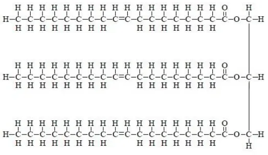 Gambar 2. 2 Struktur molekul asam lemak bebas 