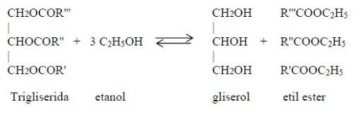Gambar 2. 4 Reaksi pembentukan etil ester  